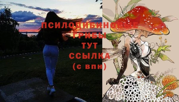 мдма Богородск
